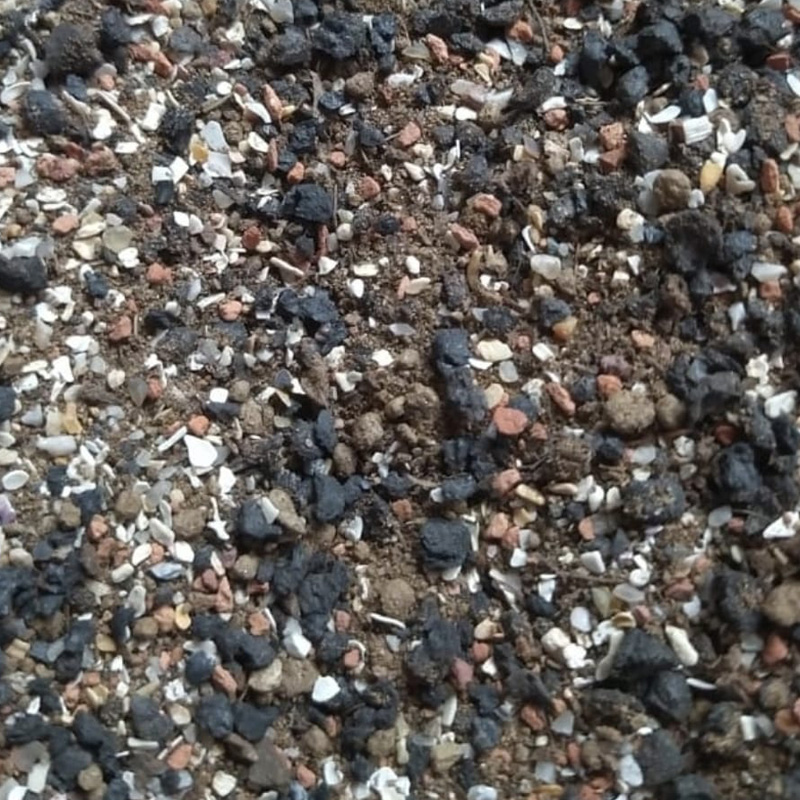 Biyologun Kuş Evi Kuş Süper Mix 1 kg