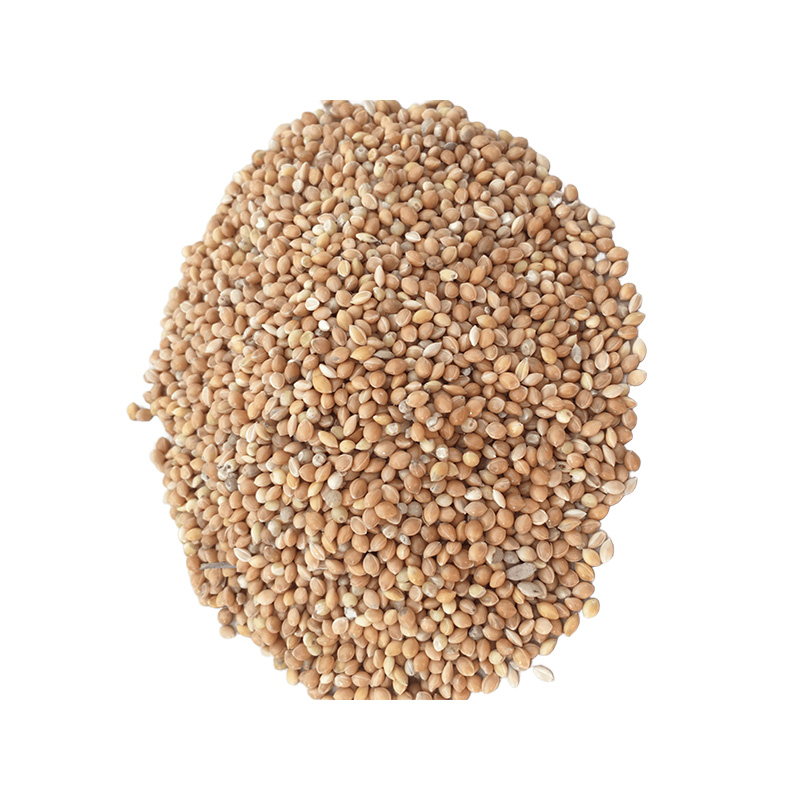 Sarı Darı 1 kg