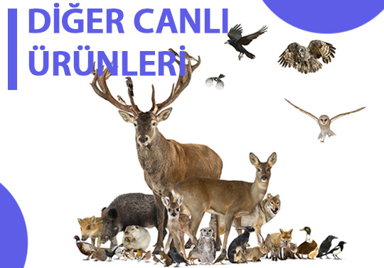 Diğer Ürünler